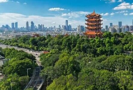 百家乐庄闲和的概率-百家乐庄闲和的概率，一场数字与策略的博弈